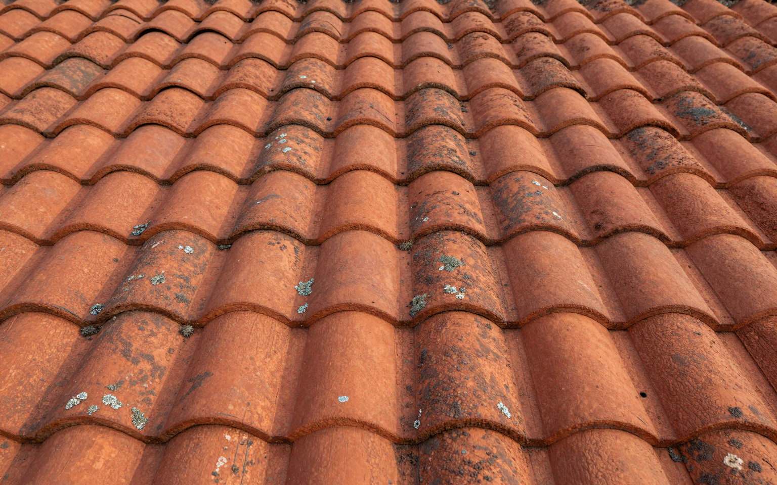 Close-up of weathered red and orange clay roof tiles with patches of lichen in low afternoon light