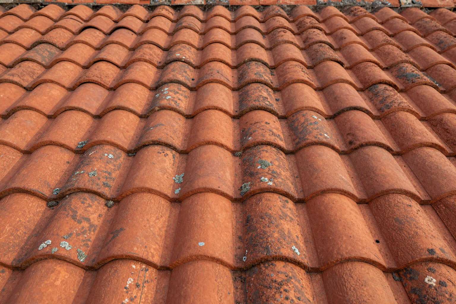 Close-up of weathered red and orange clay roof tiles with patches of lichen in low afternoon light